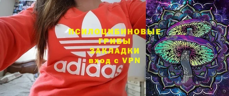 Псилоцибиновые грибы Magic Shrooms  Гаджиево 